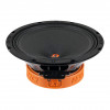СЧ динамик DL Audio Raven 200 v.2