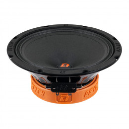 СЧ динамик DL Audio Raven 200 v.2