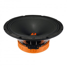 СЧ динамик DL Audio Raven 250 v.2